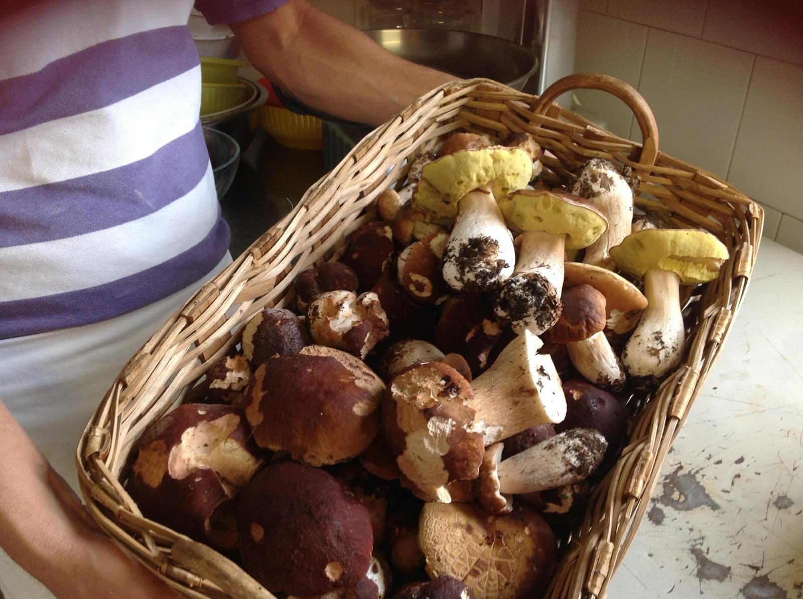 Porcini